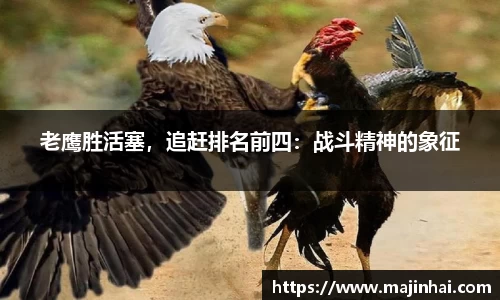 老鹰胜活塞，追赶排名前四：战斗精神的象征