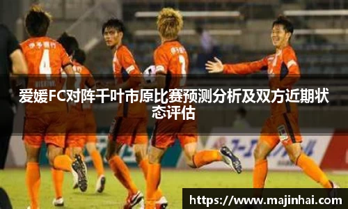 mk体育