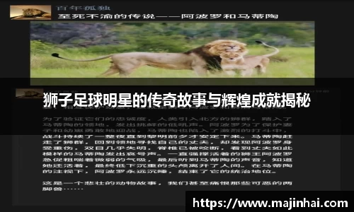 mksports官网